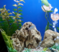 /album/%ec%8b%9c%ea%b3%b5%ec%82%ac%eb%a1%80/a20140212-152120-png/